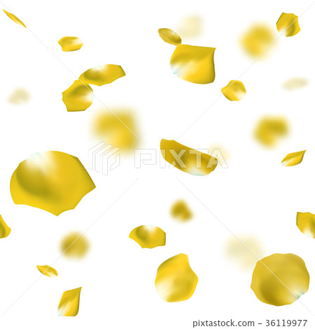 Roses petals scatter yellow - Stock Illustration [36119977] - PIXTA