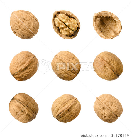 Walnuts, whole and opened, isolated over white 36120169
