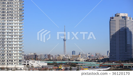 城市風景Harumi高層公寓小組 城市風景Harumi高層公寓小組 36120170