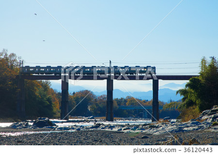 秩父鐵路鐵橋和火車荒川橋秩父幹線 秩父鐵路鐵橋和火車荒川橋秩父幹線 36120443