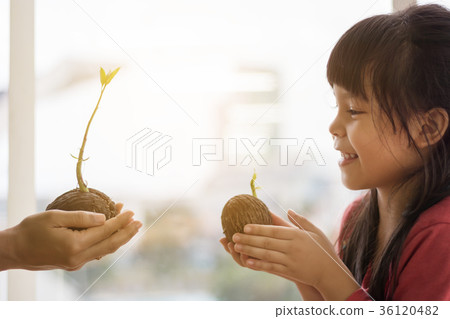 Girls and mothers prepare to plant seeds.selective focus 36120482