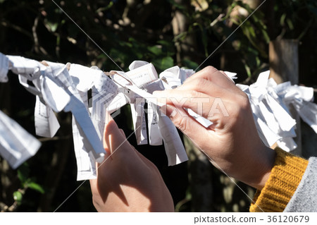 Hands tying a fortune 36120679