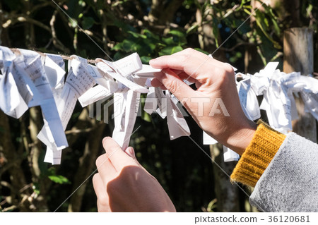 Hands tying a fortune 36120681