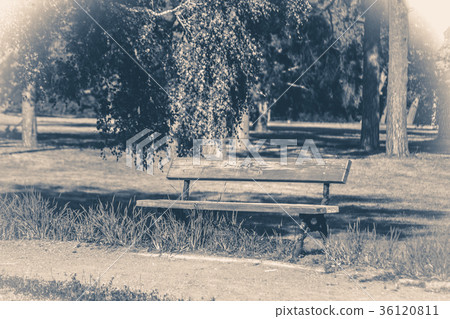 Old vintage photo. Park bench sunny day summer Old vintage photo. Park bench sunny day summer 36120811
