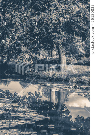 Old vintage photo. Lake river reflected clouds sky Old vintage photo. Lake river reflected clouds sky 36120832