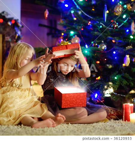 Happy little sisters opening magical Christmas gift by a fireplace 36120933