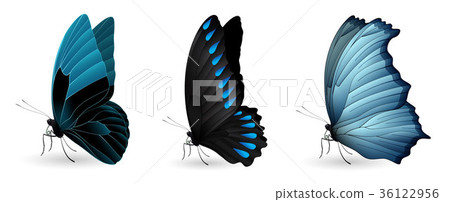 Set of colorful realistic butterflies 36122956