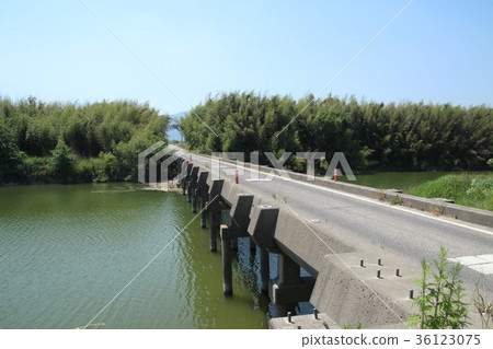 吉野川的潛水橋 36123075