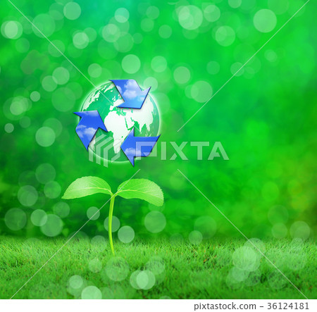 回收從幼葉發芽 36124181