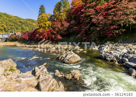 Koarashii美妙的看法在秋葉上色了 36124183