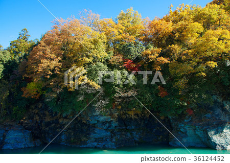 Nagatoro秋葉 36124452