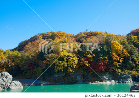 Nagatoro秋葉 Nagatoro秋葉 36124462