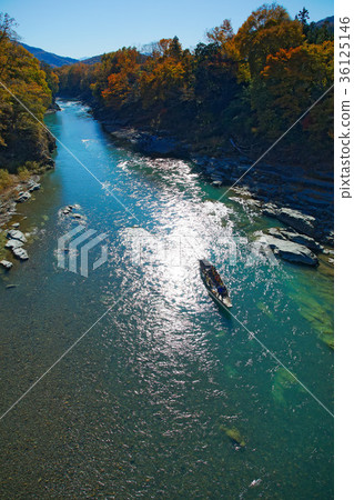 Fall leaves of Nagasu and Nagasu line down Gold Stone Water Bridge 36125146