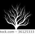 White silhouette of a tree on a black background. 36125333