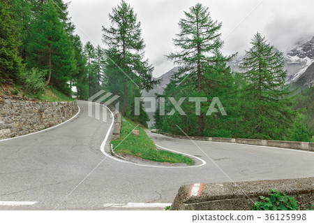 panorama of the Stelvio Pass panorama of the Stelvio Pass 36125998