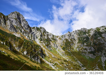 Senjakikikaru 36126408