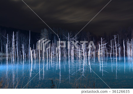藍色池塘的夜晚_ 2017年射擊 36126635