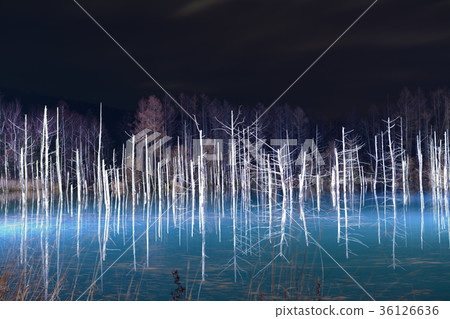 藍色池塘的夜晚_ 2017年射擊 36126636