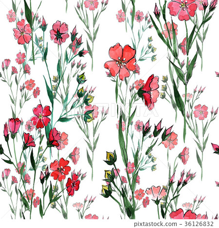 Wildflower flax flower pattern in a watercolor Wildflower flax flower pattern in a watercolor 36126832