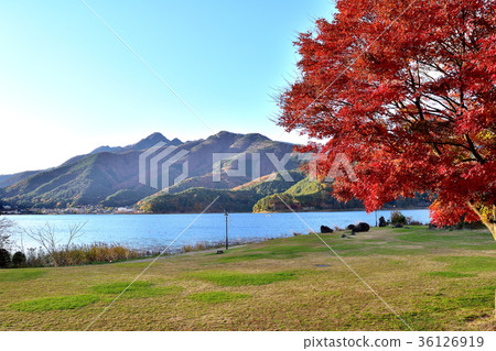 富士山和富士山 富士山和富士山 36126919
