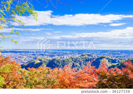 Tokyo Takaosan autumn leaves (view from the Konpiradai Observatory) Tokyo Takaosan autumn leaves (view from the Konpiradai Observatory) 36127159