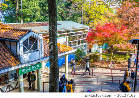 東京Takaosan Echo電梯山上站風景 東京Takaosan Echo電梯山上站風景 36127162