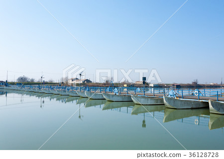 Bridge of boats perspective view Bridge of boats perspective view 36128728