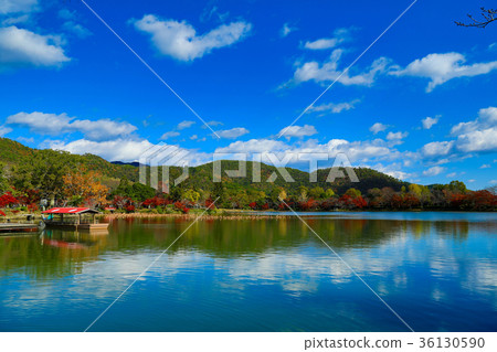 Osawa pond and the waterfront of Daikakuji (Kyoto) Osawa pond and the waterfront of Daikakuji (Kyoto) 36130590
