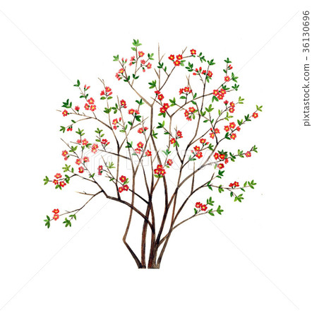 Xylophone Bokeh flower Precision plant drawing 36130696