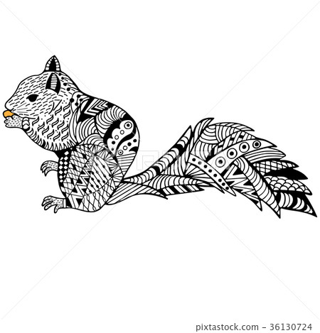 Squirrel hand drawn doodle graghic 36130724
