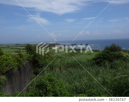 約龍島 約龍島 36130787