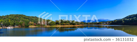 Autumn leaves panorama of Unzen Suwa pond 36131032