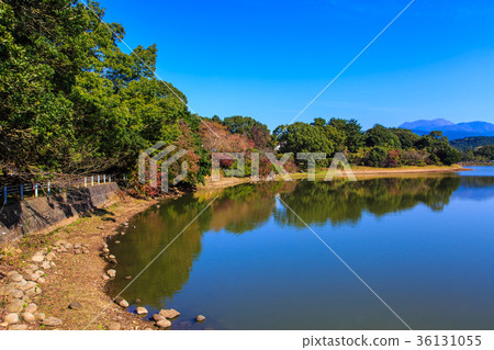 Autumn leaves of Unzen Suwa pond 36131055