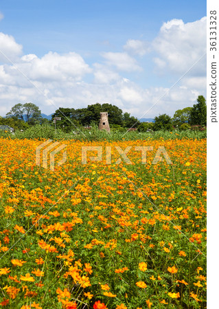 慶州東部歷史遺址（歷史遺址第161號），慶州市慶州市 36131328