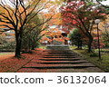 禪寺 36132064
