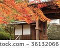 禪寺 36132066