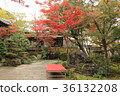 天之寺 36132208