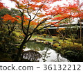 天之寺 36132212