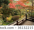 天之寺 36132215
