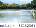 瀑佈公園 36132361