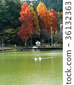 瀑佈公園 36132363