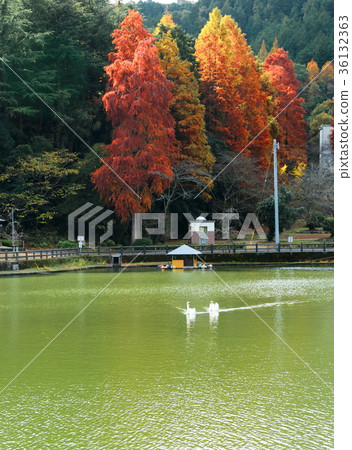 瀑佈公園 36132363