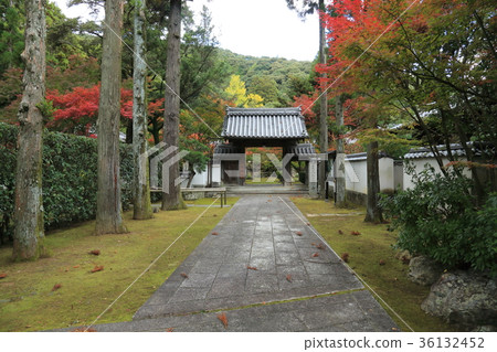大寺 大寺 36132452