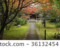 大寺 36132454