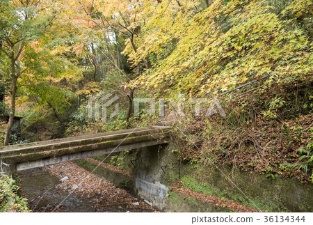 Inariyama Course entrance of Takaosan (Hachioji City, Tokyo) 36134344