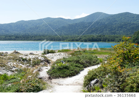 Oshiyama Reijo的Gokuraku海灘 36135668