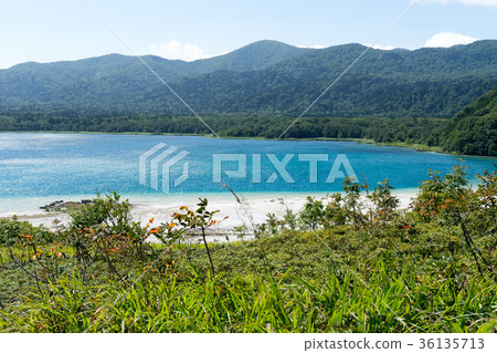 Oshiyama Reijo的Gokuraku海灘的圖像 36135713