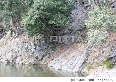 Shimonita Geopark (the folding structure of Ogasawara) 36135789