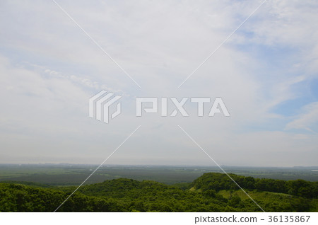 釧路濕地(北海道) 釧路濕地(北海道) 36135867