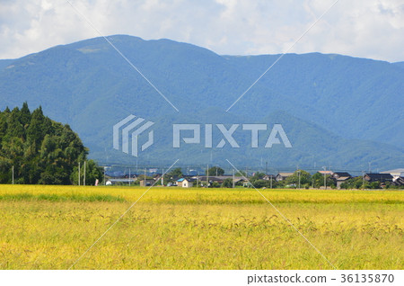 Mizuhonokuni（佐渡島/新潟縣） 36135870
